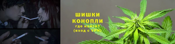 ешки Козельск