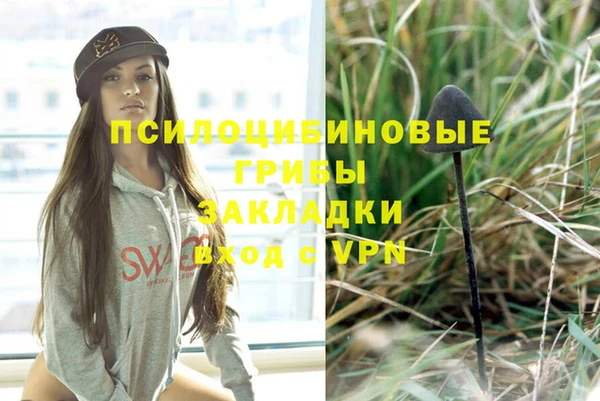 гашик Киренск