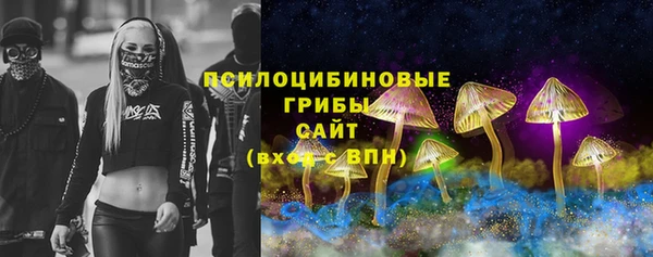 гашик Киренск