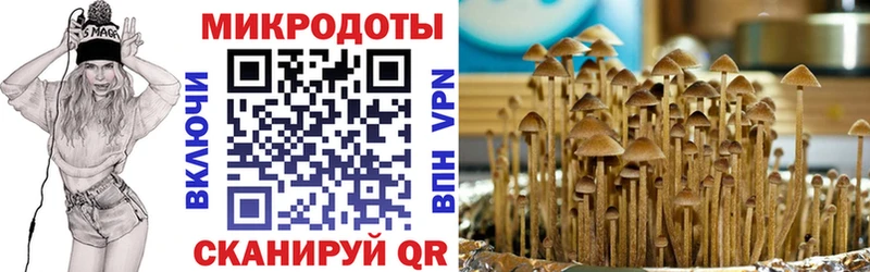 Галлюциногенные грибы мухоморы  Купить где  Дивногорск 