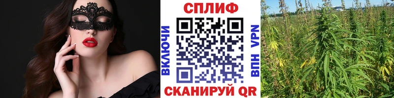 Канабис план  Купить где  Дивногорск 